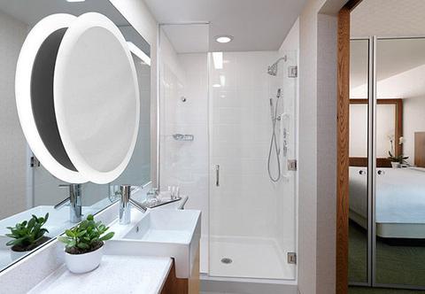 Springhill Suites By Marriott Houston Downtown/Convention Center Экстерьер фото